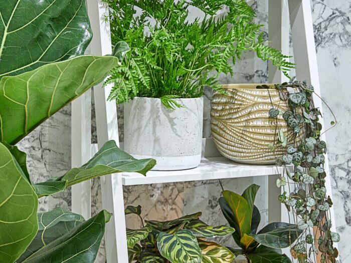 Get a houseplant stand so you can fill your bathroom with greenery