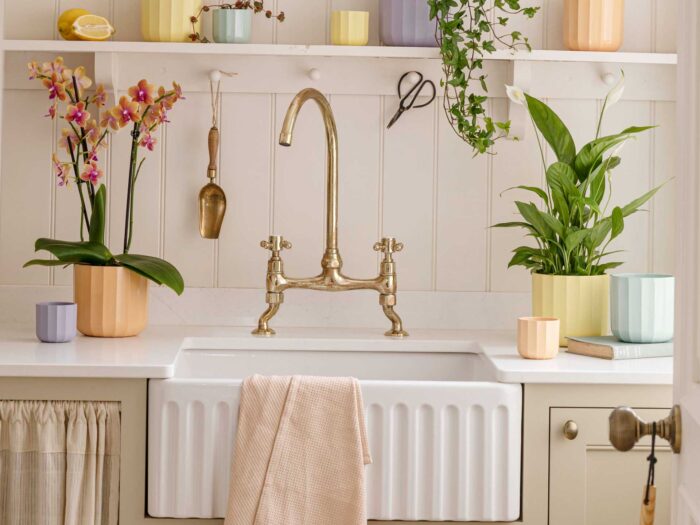 Orchids are an elegant and colourful addition and one of the best bathroom houseplants