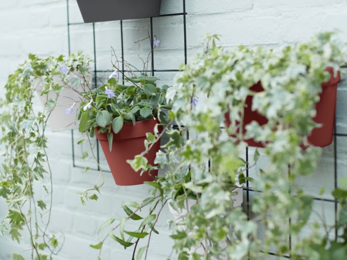 Wire grids attached to wall with hanging pot plants