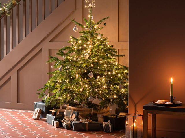 Hallway decorated for Christmas