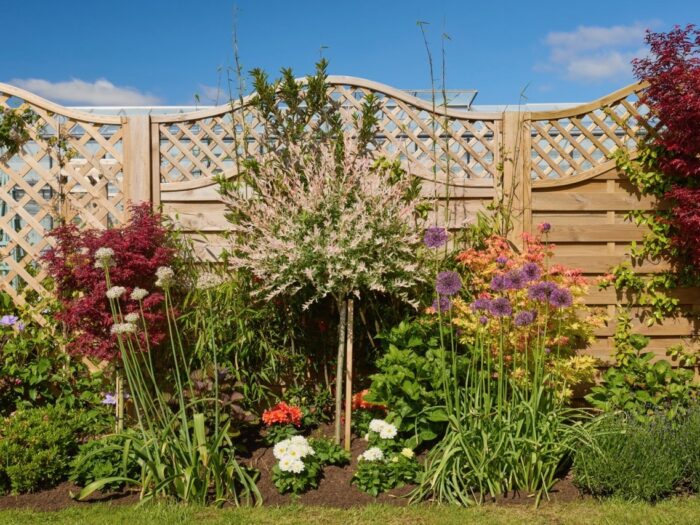 Garden border with tree shrubs and trellis fence